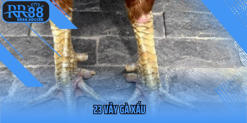 23 vảy gà xấu