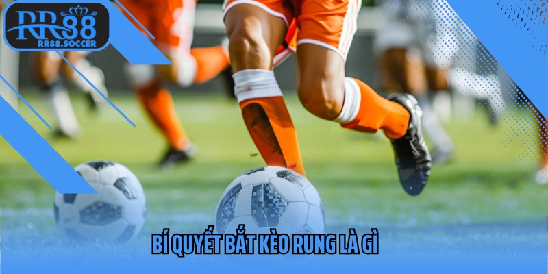 Bí quyết bắt kèo rung là gì