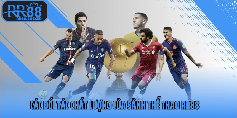 Các đối tác chất lượng của sảnh thể thao