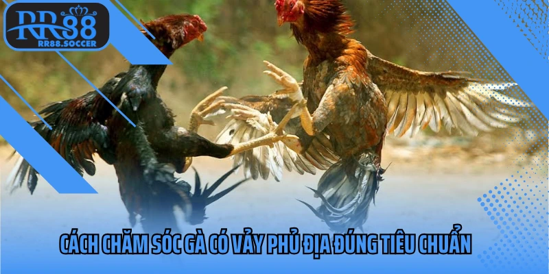 Cách chăm sóc gà có vảy phủ địa đúng tiêu chuẩn