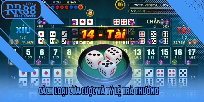 Cách loại cửa cược và tỷ lệ trả thưởng
