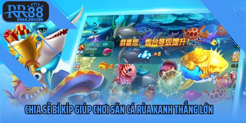 Chia sẻ bí kíp giúp chơi săn cá rùa xanh thắng lớn