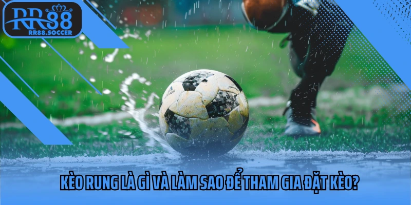 Kèo rung là gì và làm sao để tham gia đặt kèo?