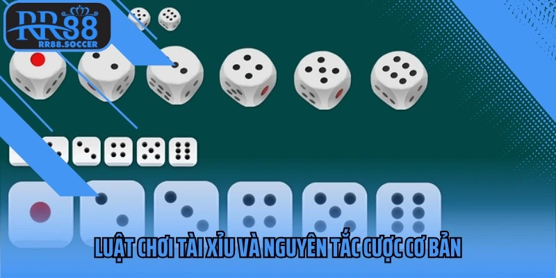 Luật chơi tài xỉu và nguyên tắc cược cơ bản